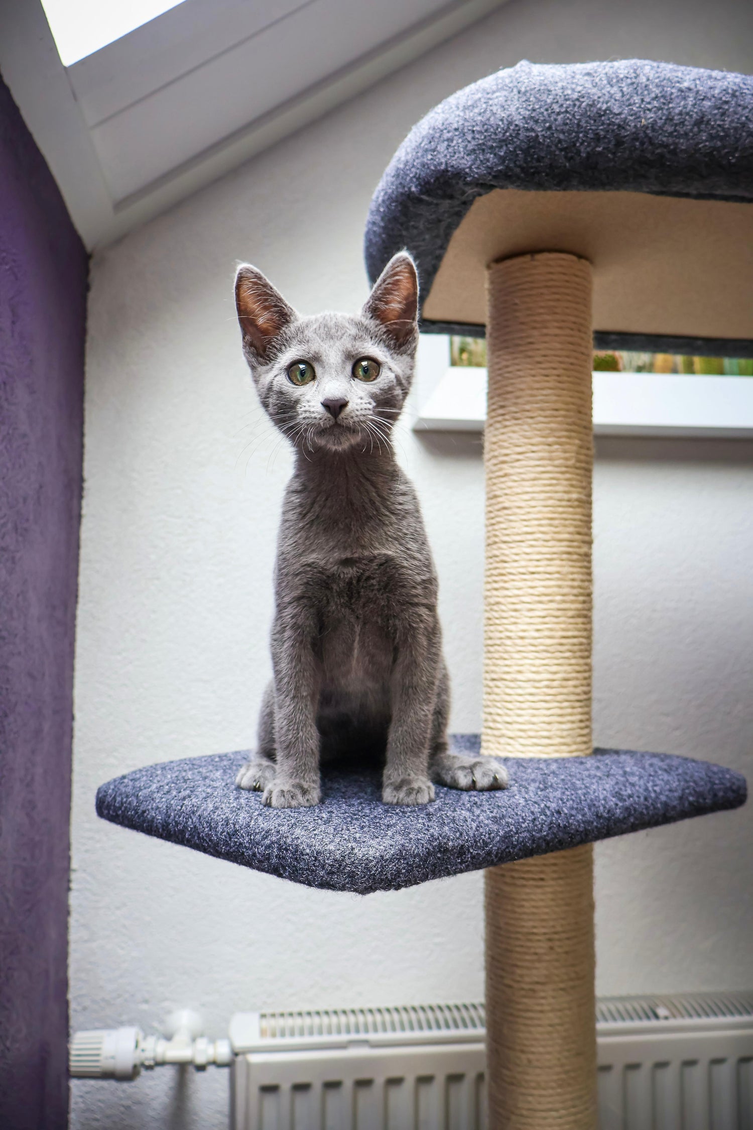 Katten krabpaal Candy - klimboom - grijs