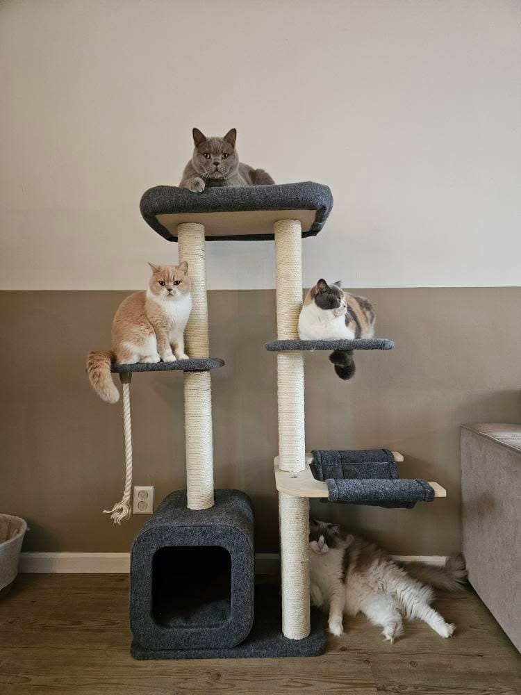 Cat scratching post - climbing tree - grey - 4 levels