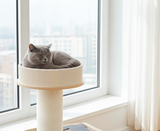 Cat tree - scratching post - cat tower with cat basket