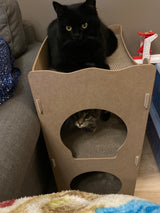 Maison pour chat - maison de jeu durable pour chats