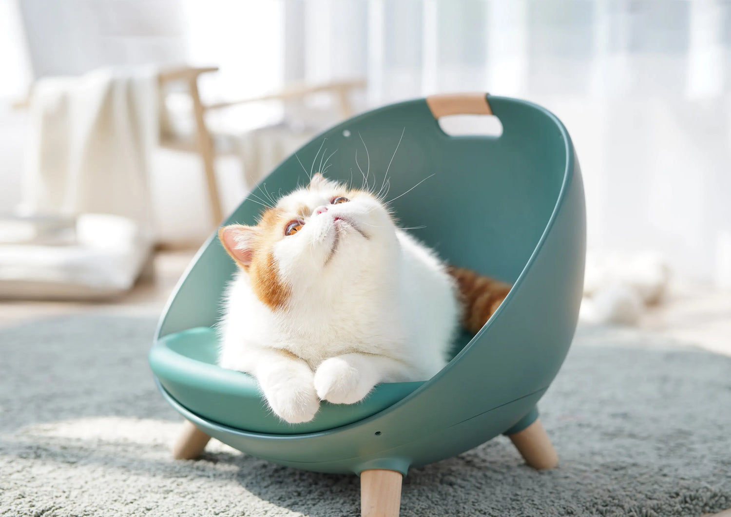 Kattenmand - 4 in 1 ontwerp - schommel -  one size fits all - kattenbed - SpirePets