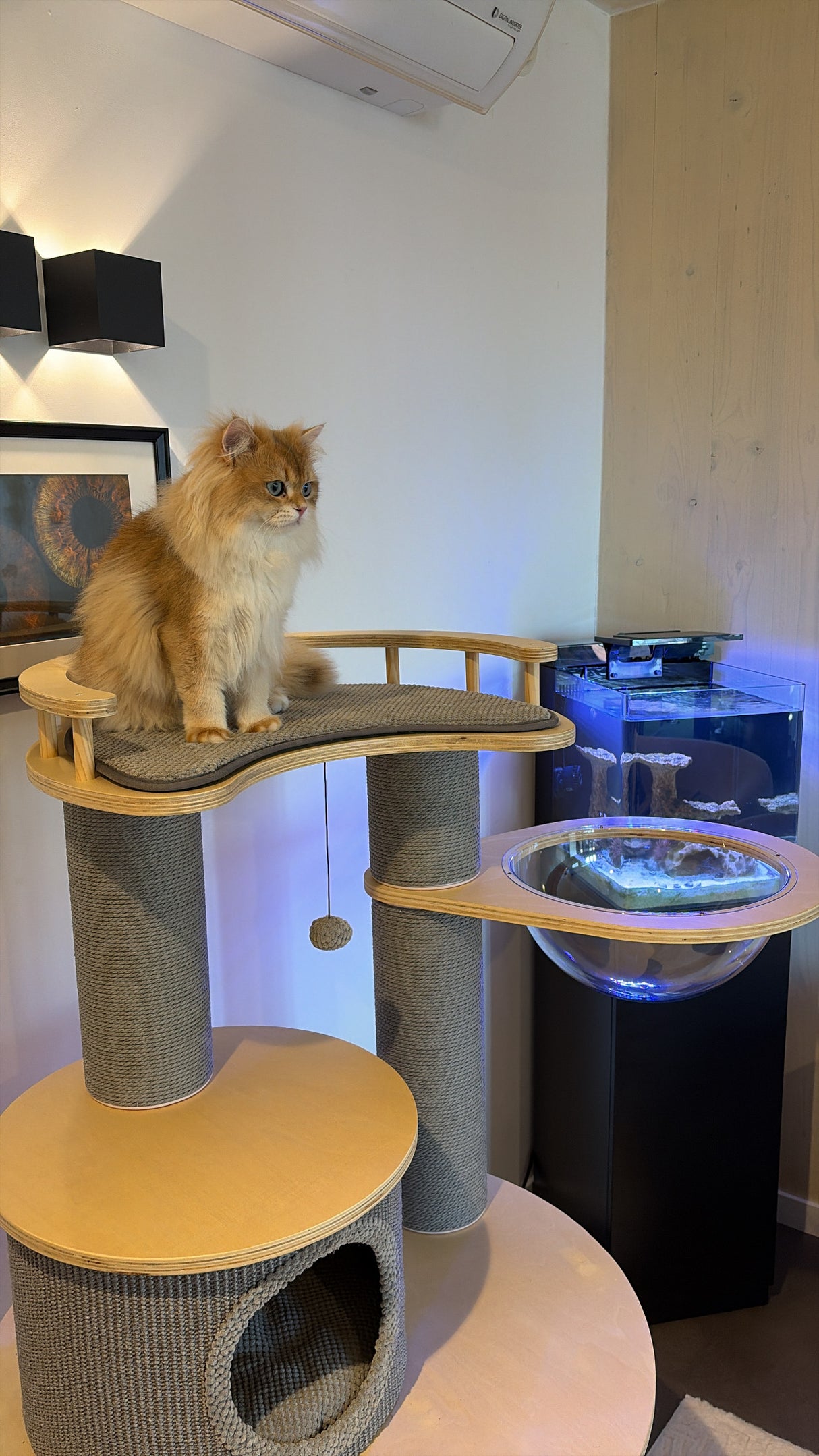 LUXE Krabpaal - Kattenboom - Katten krabmeubel