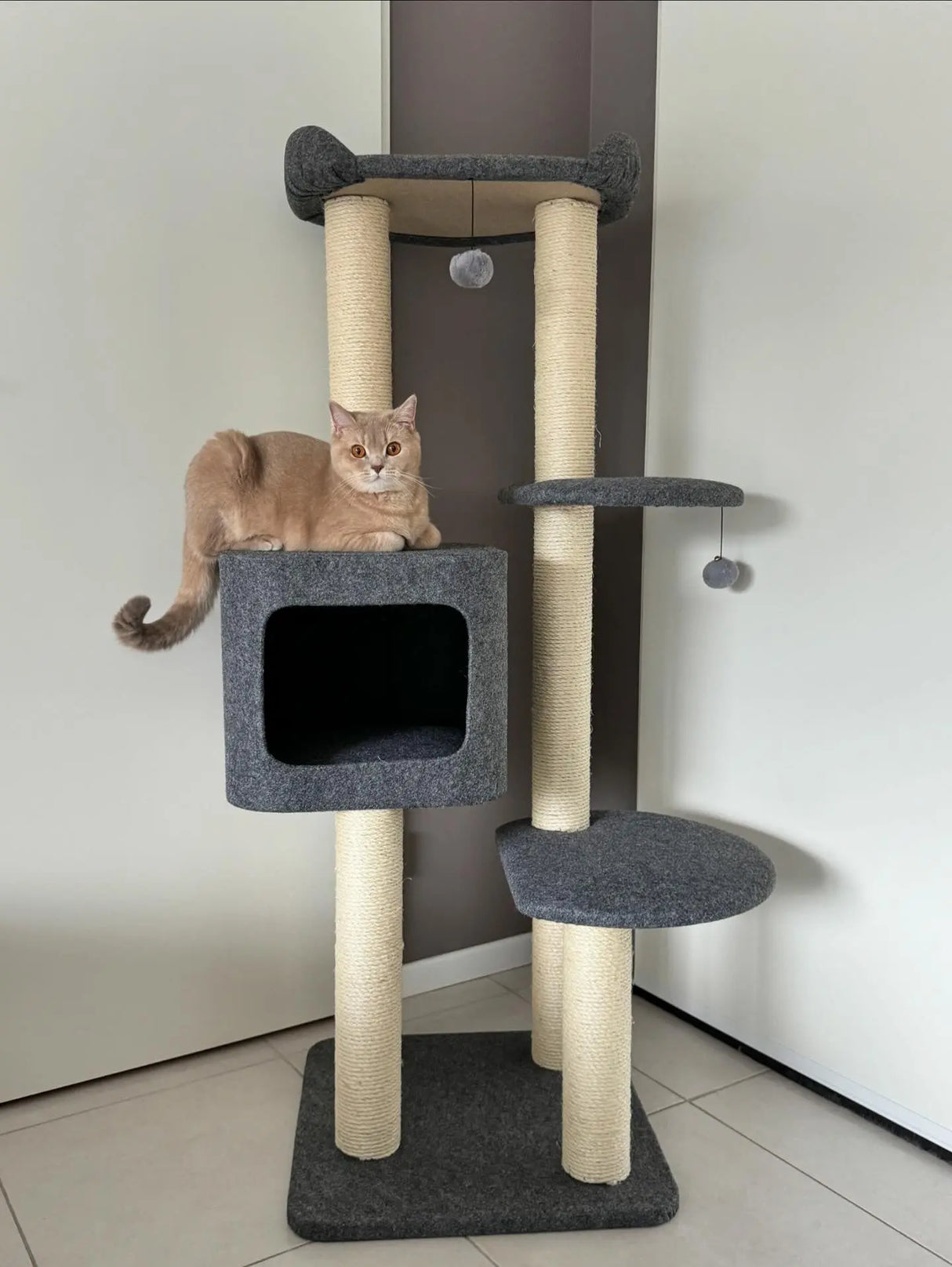 Luxe krabpaal voor katten - Krabmeubel Cindy - 5 niveaus - 7 sisal kolommen en pluche bed SpirePets