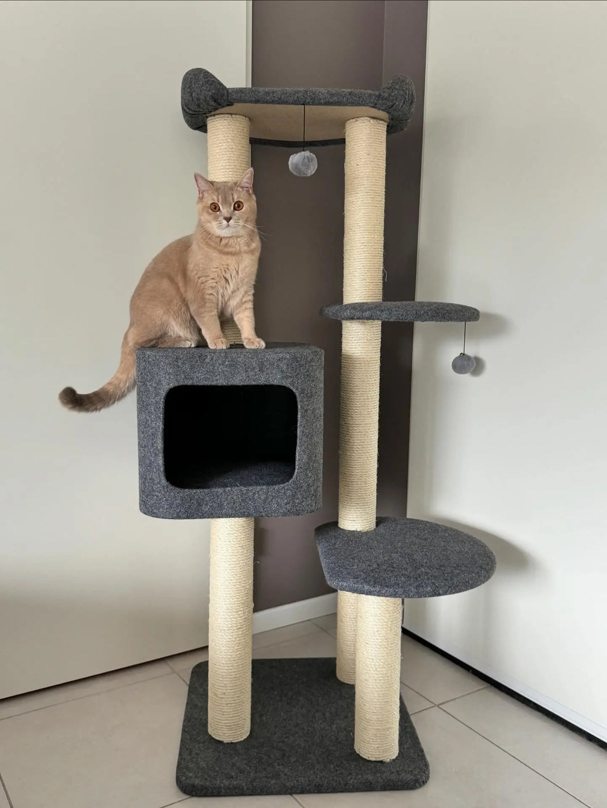 Luxe krabpaal voor katten - Krabmeubel Cindy - 5 niveaus - 7 sisal kolommen en pluche bed SpirePets