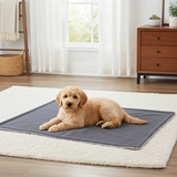 Water-resistant pet bed - Bastiaan dog basket - size S