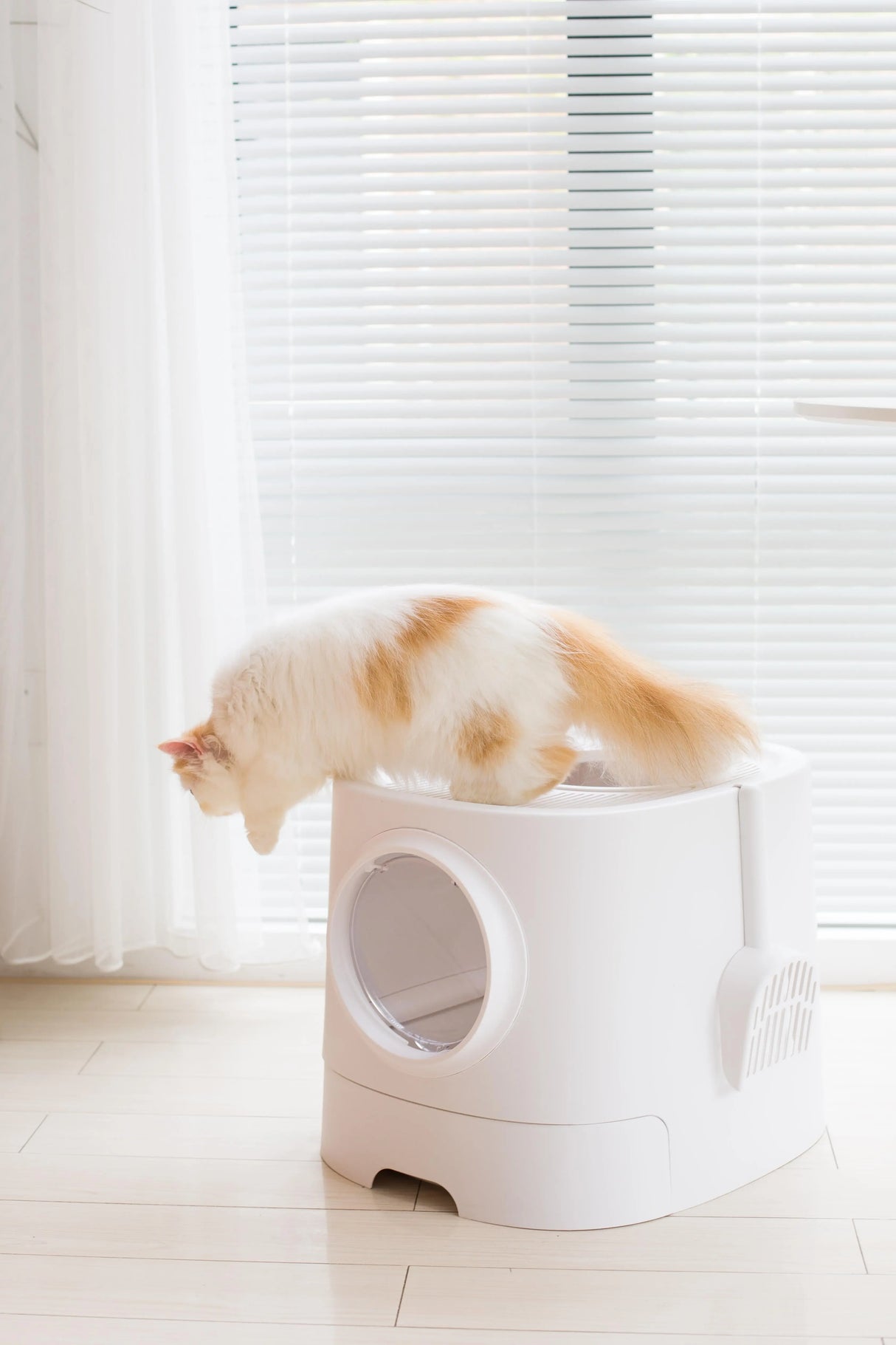 Kattenbak SPACE serie - Kattentoilet Wit SpirePets