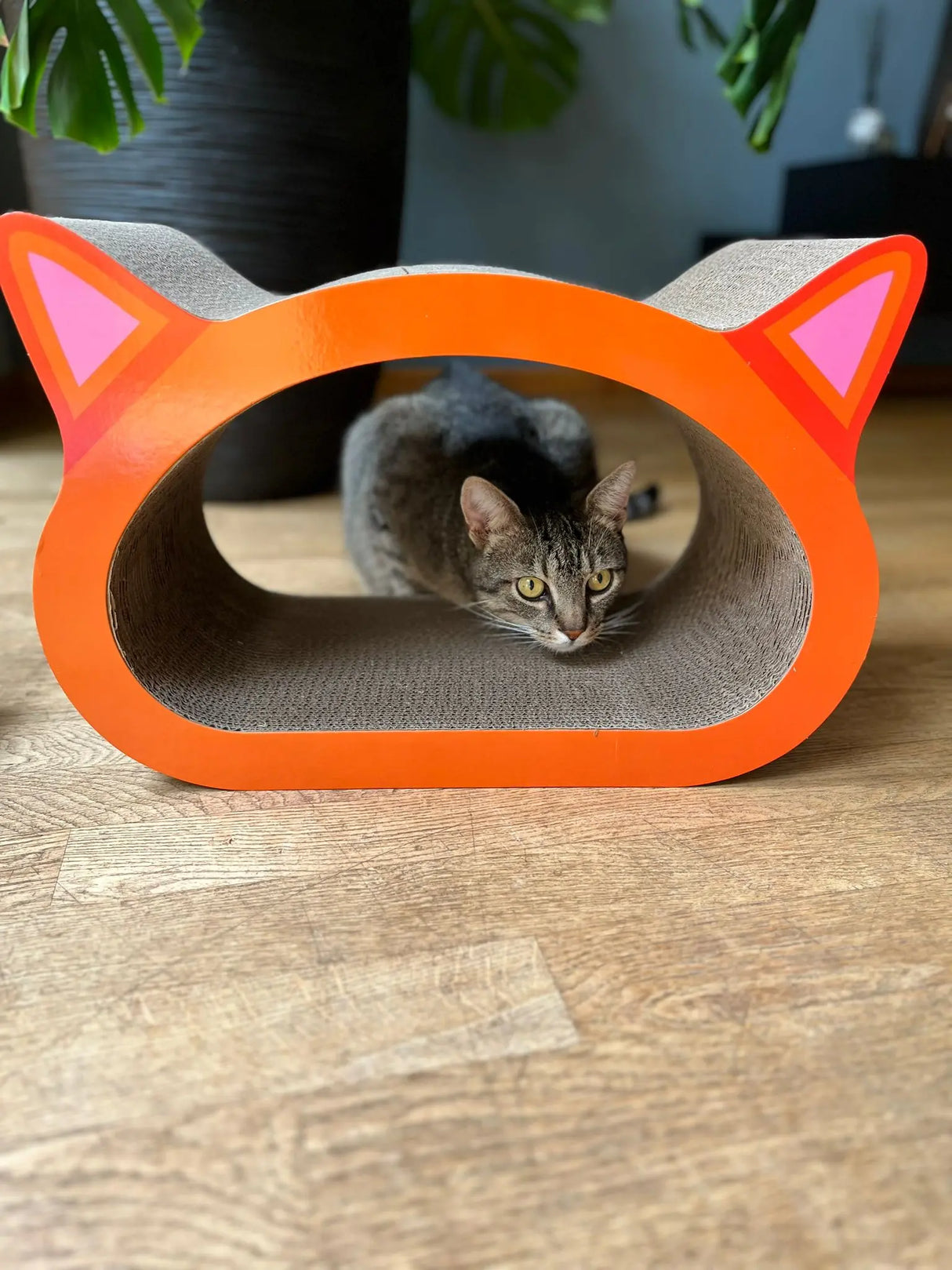 Katten krabmat krabmeubel | katten krabplank | kattenspeelgoed | katten speelmeubilair | veelzijdig ontwerp - SpirePets