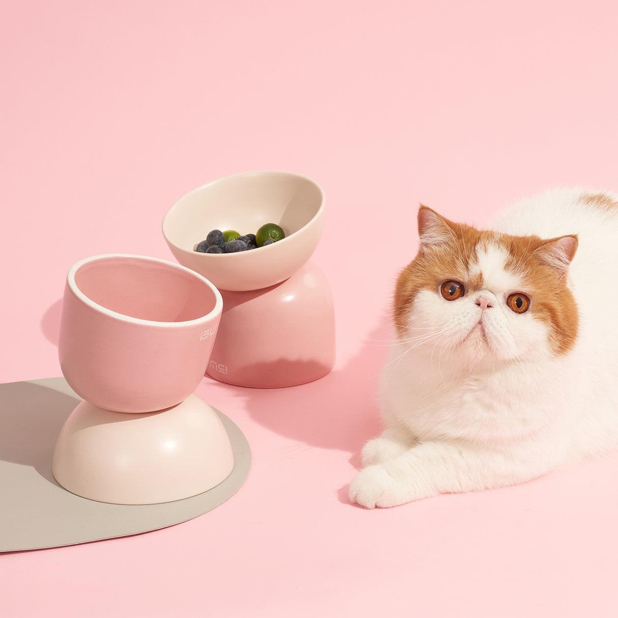 Mangeoire surélevée pour chat - Mangeoire en céramique - Rose
