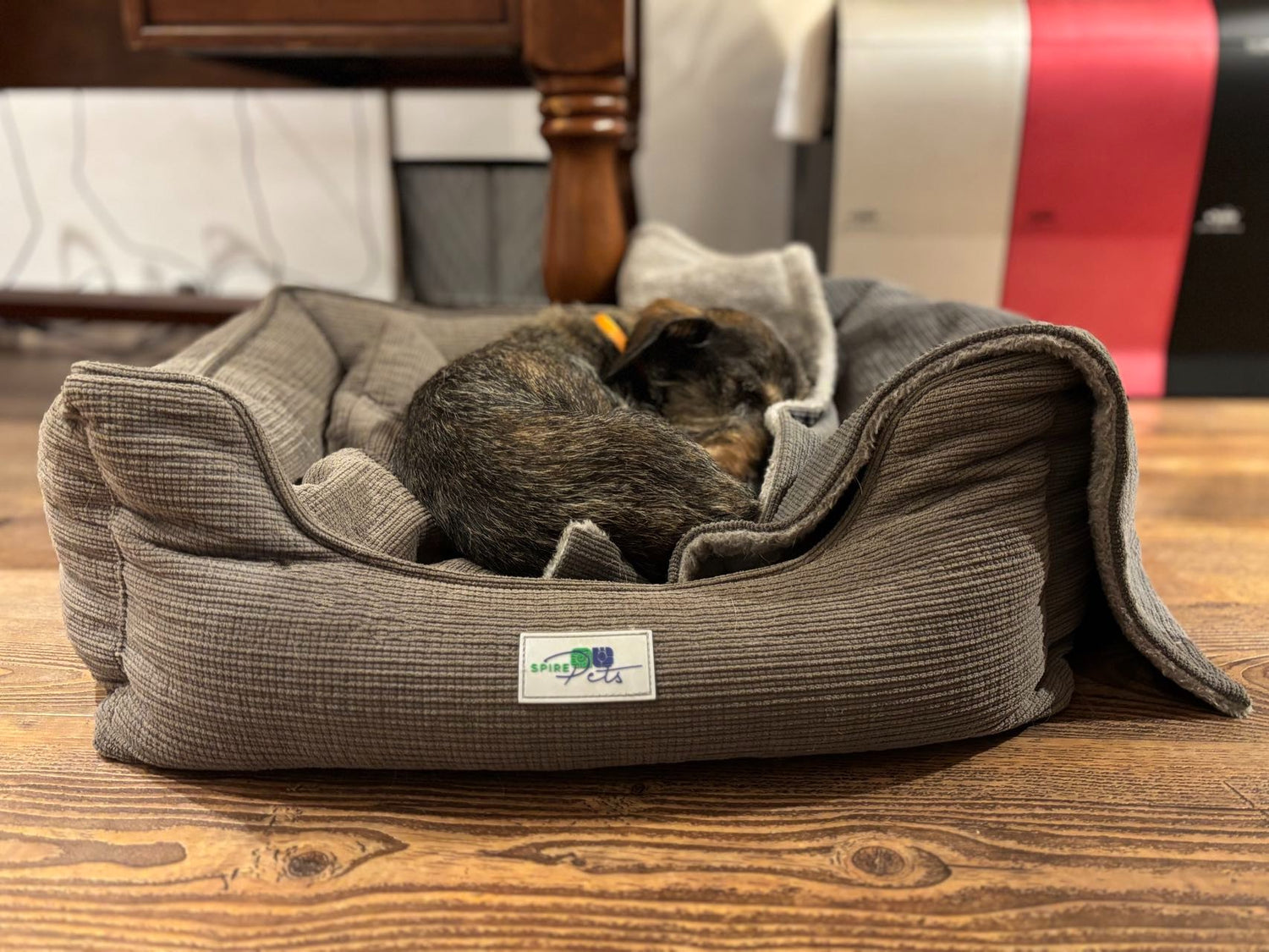 Comfortable dog cushion Joey - black - dog mattress - anti-slip bottom - soft polyester sponge - easy to clean