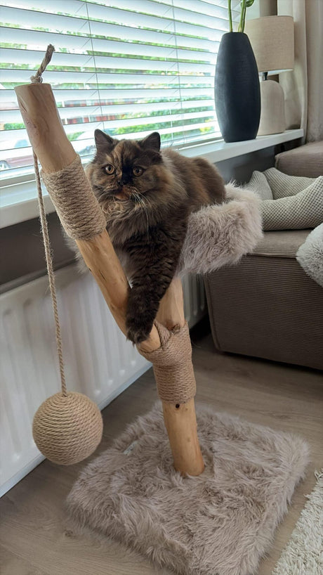 LUNA krabpaal kat – Stabiele klimpaal voor katten