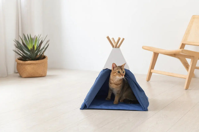 Tipi tent voor katten - kattentent - kattenmand - blauw - SpirePets