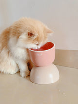 Mangeoire surélevée pour chat - Mangeoire en céramique - Rose