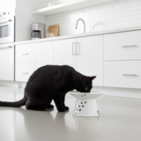 Erhöhter Katzennapf – Katzennapf aus Porzellan