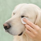 Traansmeer Verwijderaar voor hond of kat 250ml