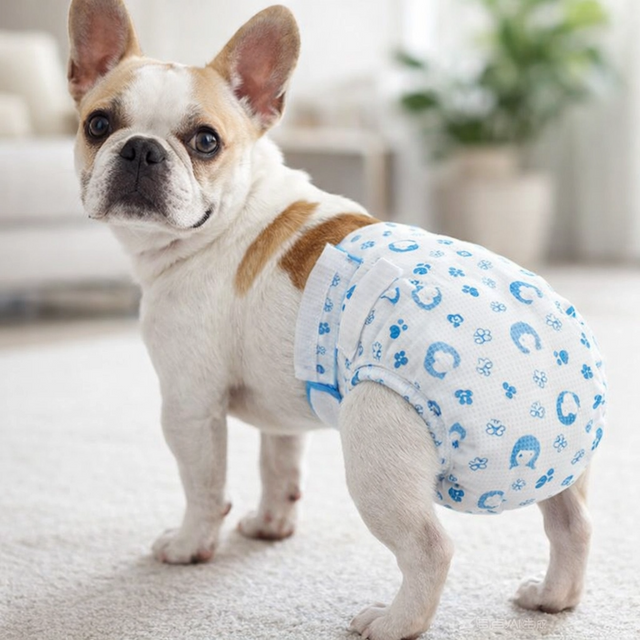 Hondenluiers voor Reu – Super absorberend en comfortabel - SpirePets