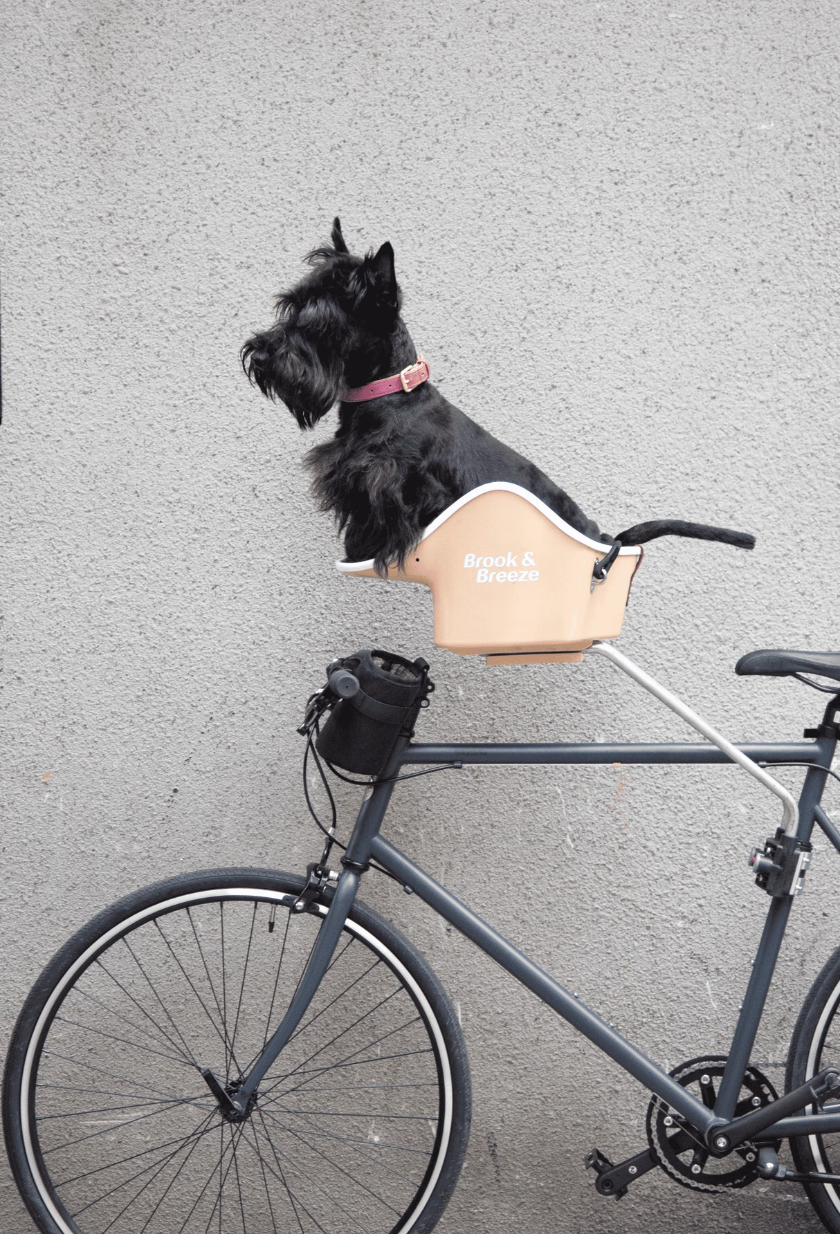 Brook & Breeze Canine Copilot Rear Support Mount – Achterbevestiging voor hondenfietsmand