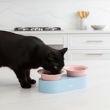 Keramische katten voer- en drinkbak - verhoogd ontwerp - lichtblauw en roze