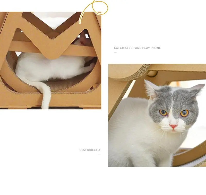 Kattenreuzenrad - loopband voor katten - wiel voor actieve katten - purrfect wheel - SpirePets