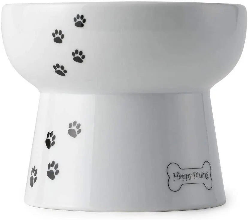 NECOICHI Raised Dog Water Bowl